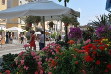 PIAZZA IN FIORE 2015